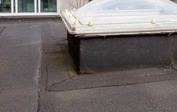 disadvantages of Garnlydan flat roofs