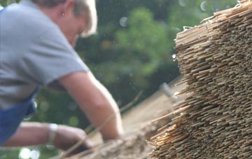 professional Garnlydan thatchers