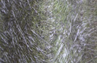 Garnlydan fibreglass roof work